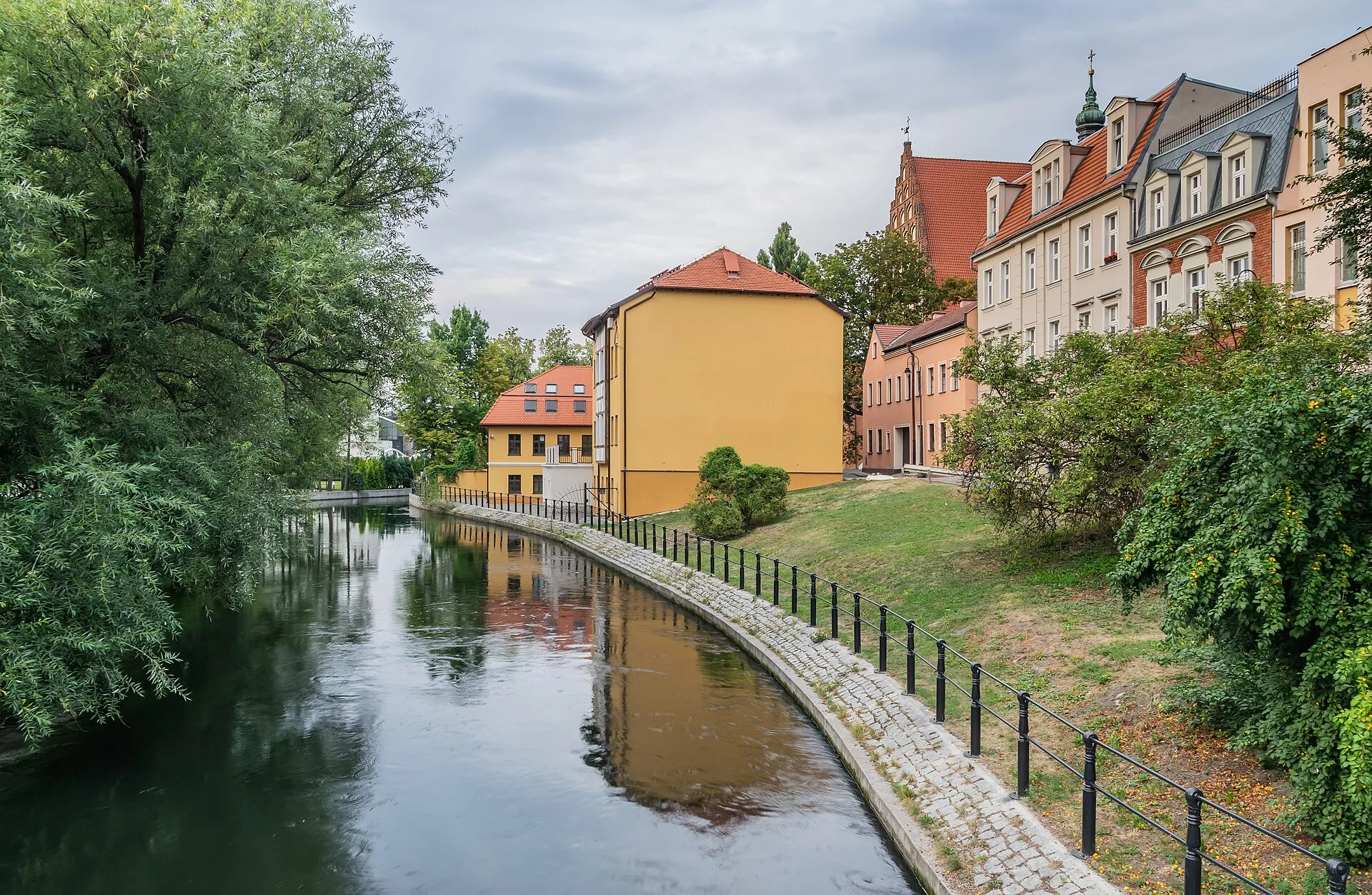 Brda w Bydgoszczy, województwo kujawsko-pomorskie, w sierpniu 2019 roku
