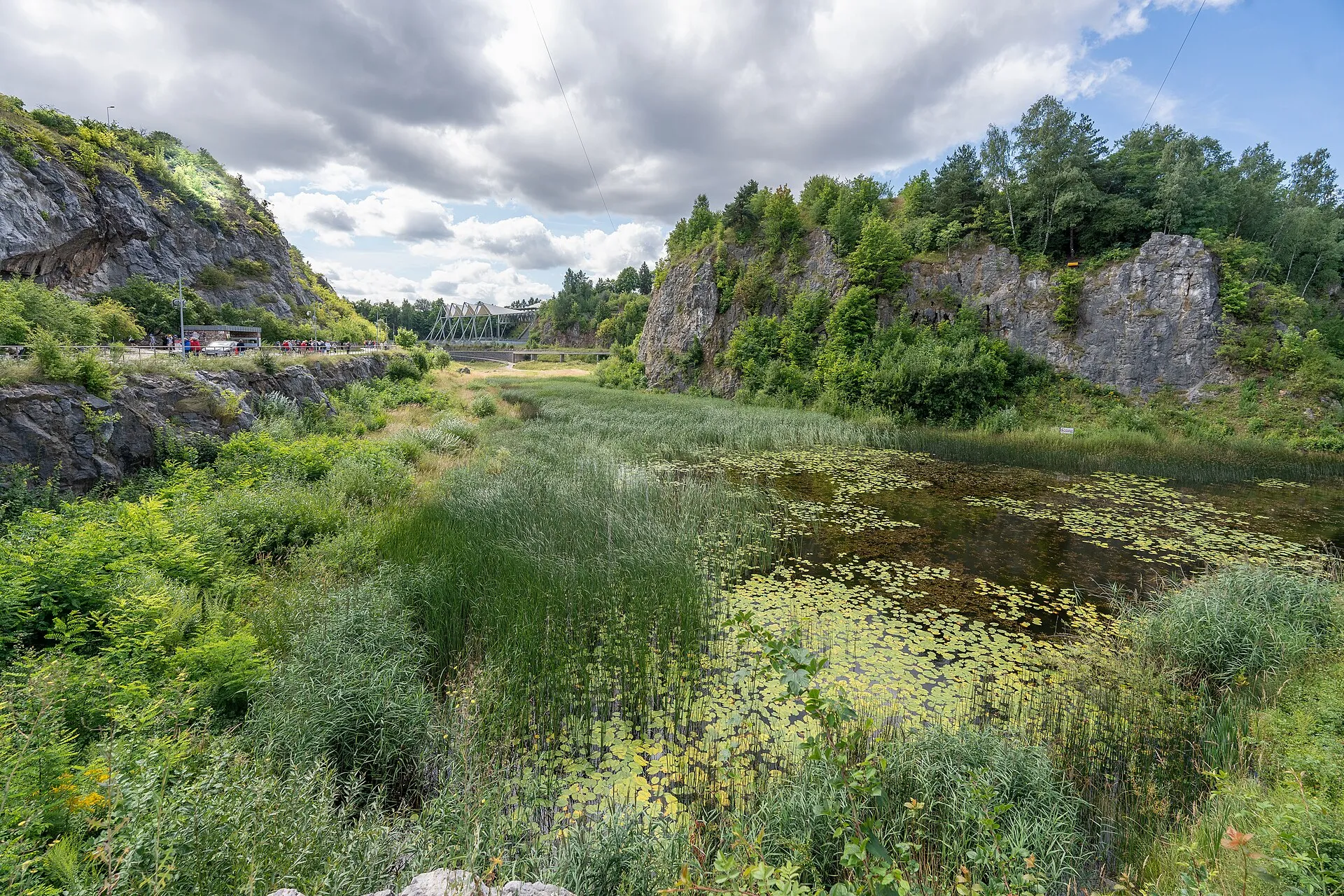Rezerwat Kadzielnia i Jezioro Szmaragdowe w Kielcach w 2023 roku