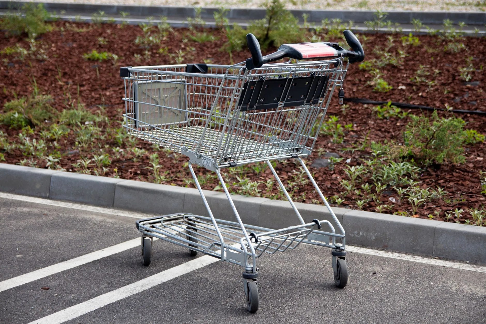 Pusty metalowy wózek sklepowy na parkingu obok krawężnika i pasa zieleni