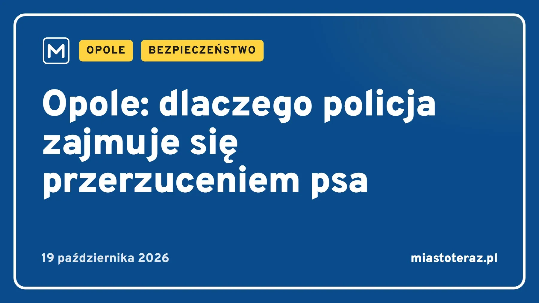 Grafika MiastoTeraz: Opole: dlaczego policja zajmuje się przerzuceniem psa