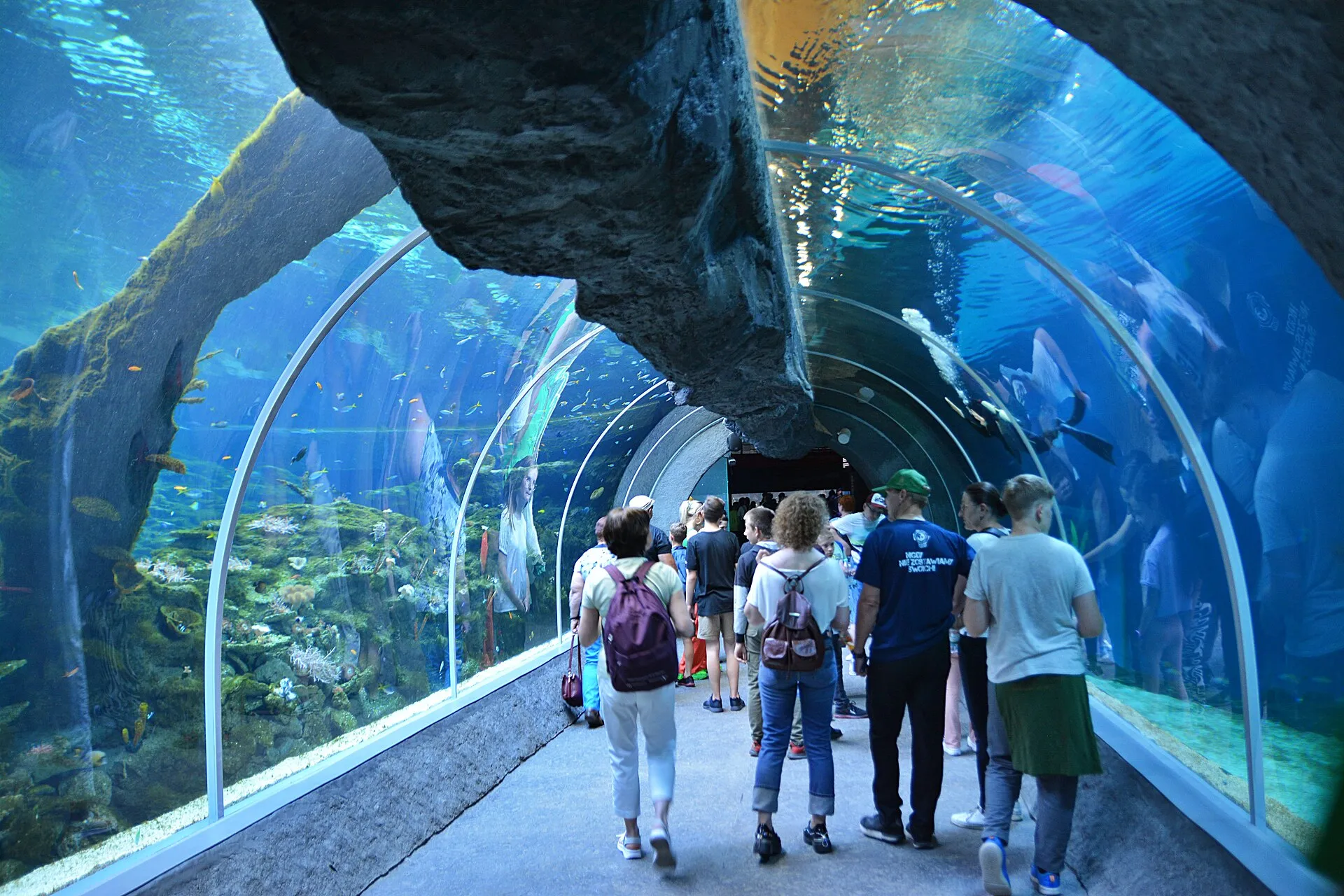 Tunel w łódzkim Orientarium z odwiedzającymi w 2022 roku