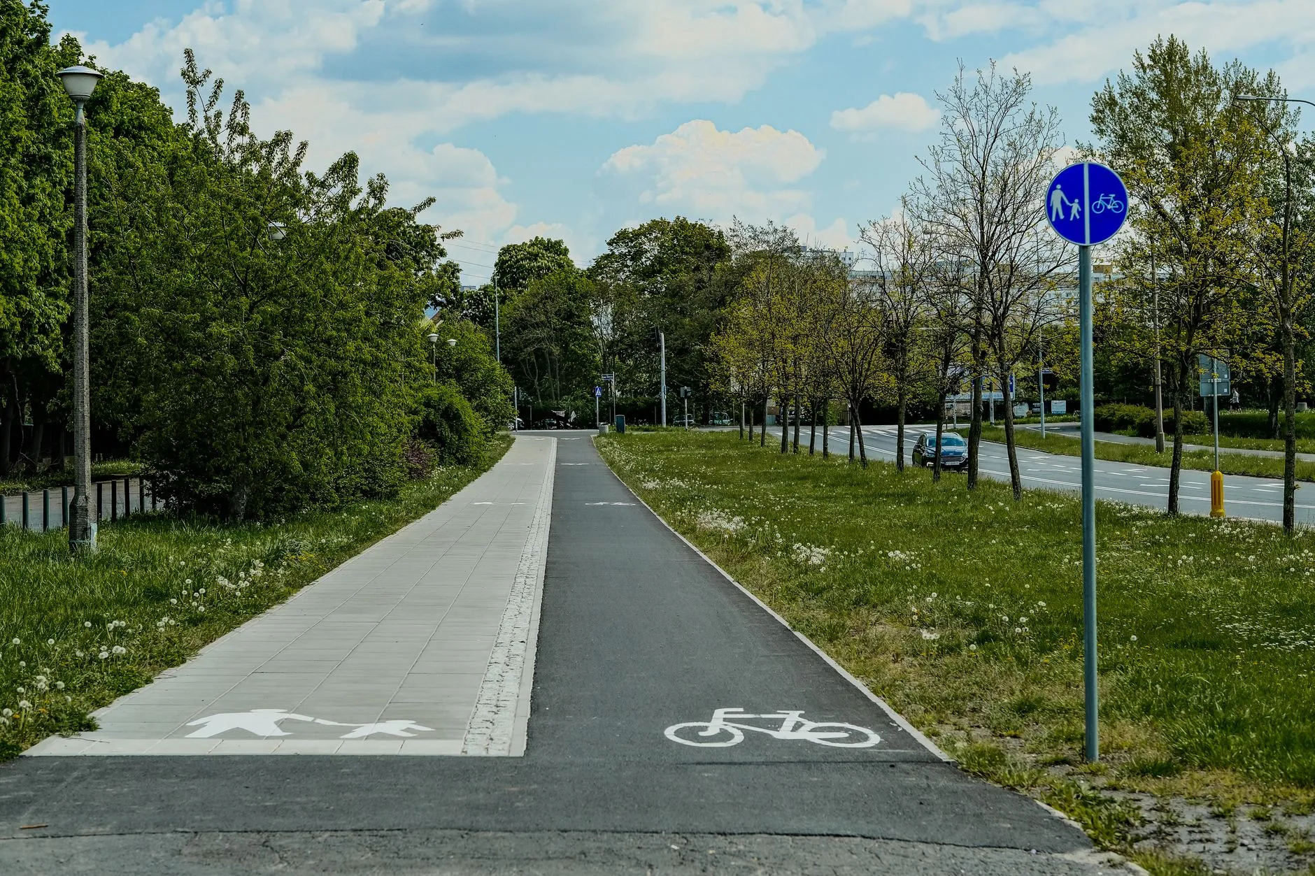 Asfaltowa droga rowerowa i chodnik wzdłuż jezdni otoczone zielenią