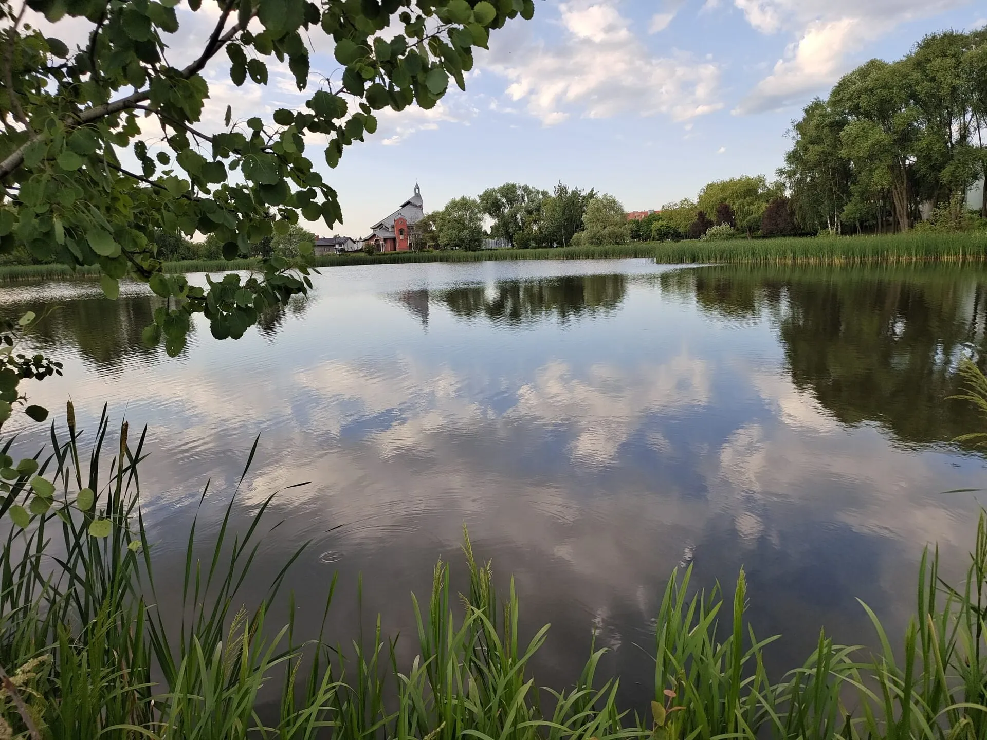 Staw Suble w Tychach otoczony zielenią, 2024 rok