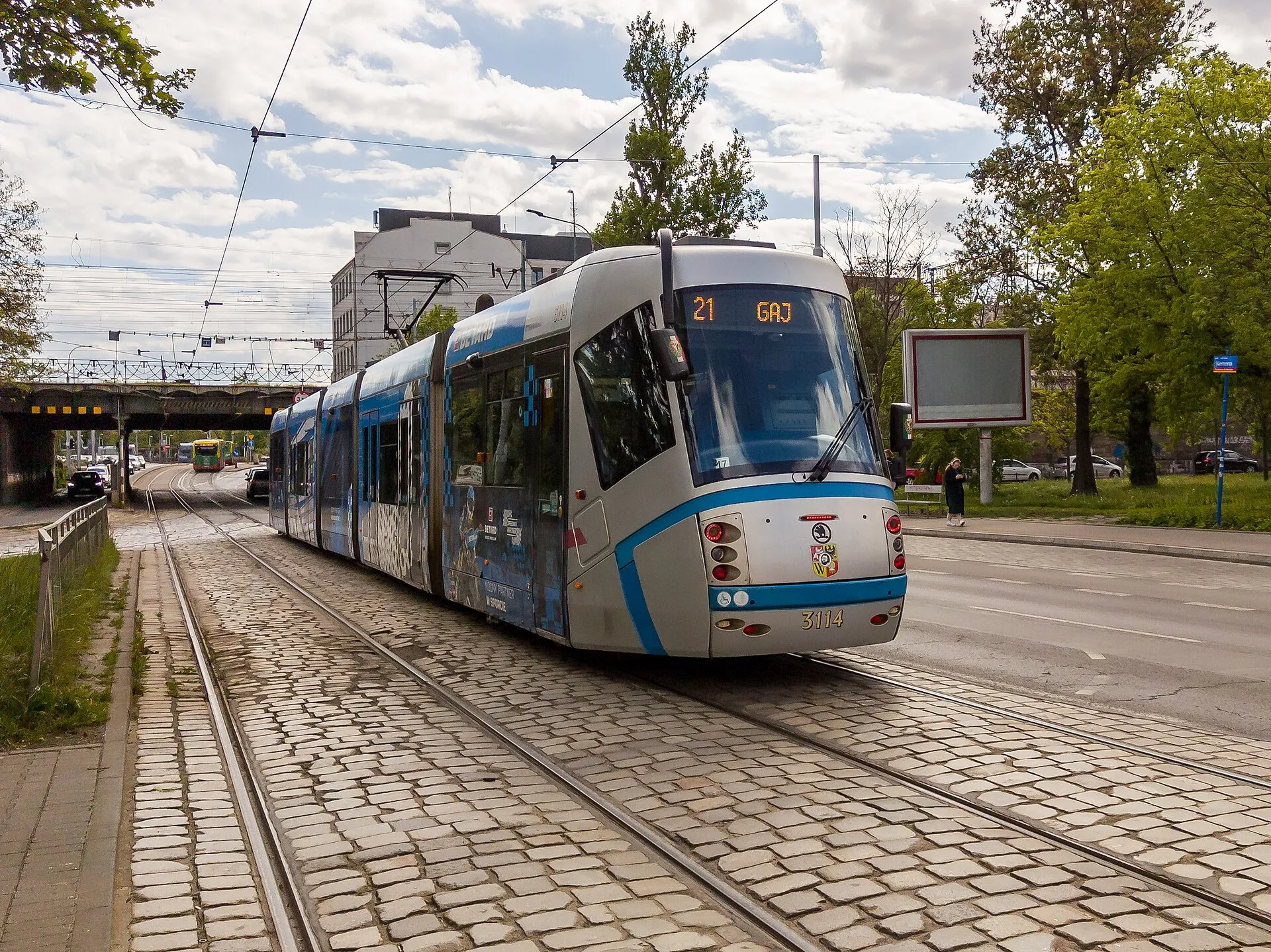 Wrocławski tramwaj linii 21 na ulicy Borowskiej przy Piłsudskiego w 2024 roku