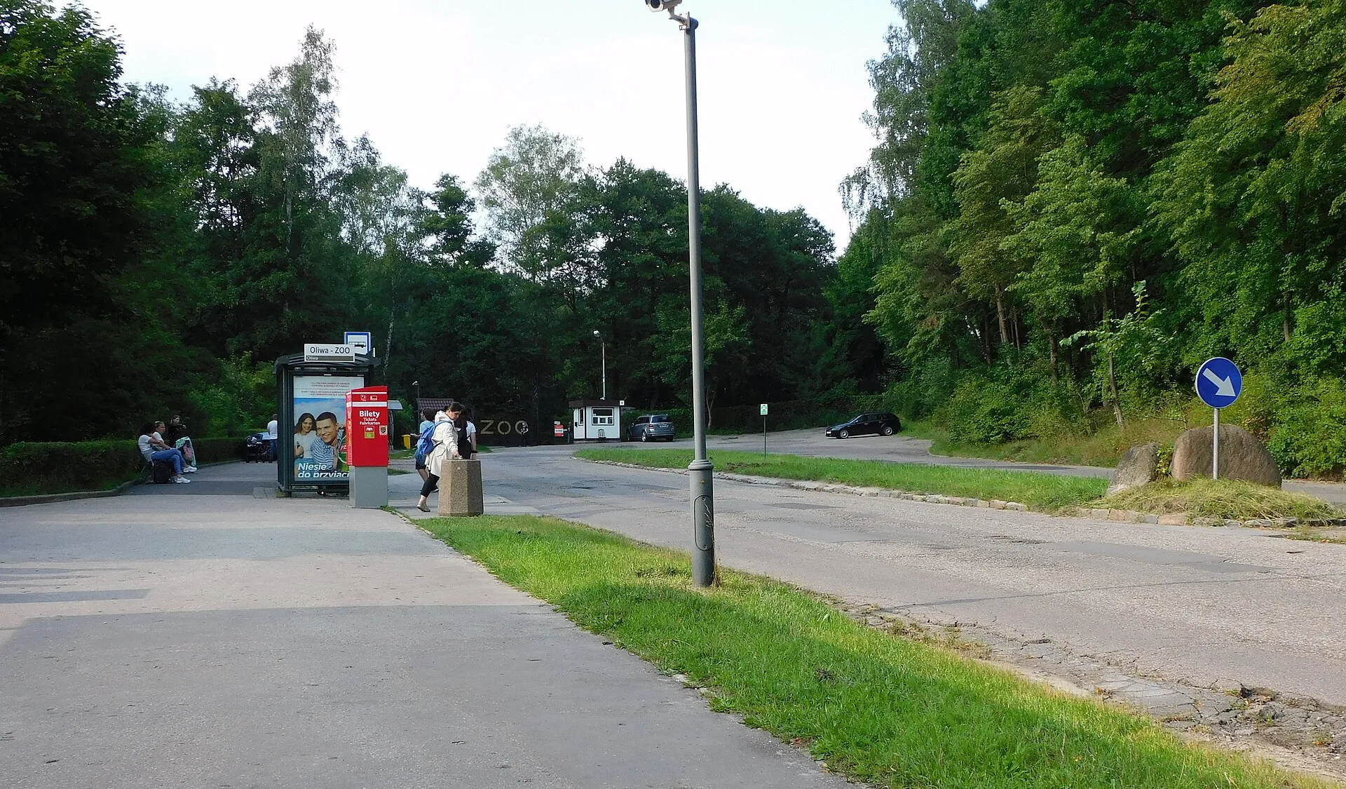 Pętla autobusowa Oliwa - ZOO w Gdańsku w 2023 roku